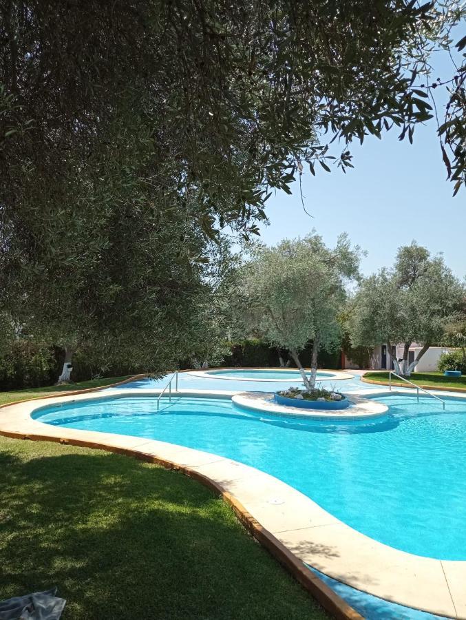 Casa Sevilla Valencina de la Concepción エクステリア 写真