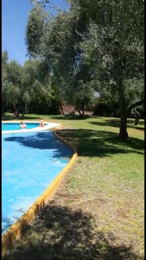 Casa Sevilla Valencina de la Concepción エクステリア 写真